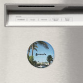 バミューダ磁石 マグネット (インサイチュ (食洗機))