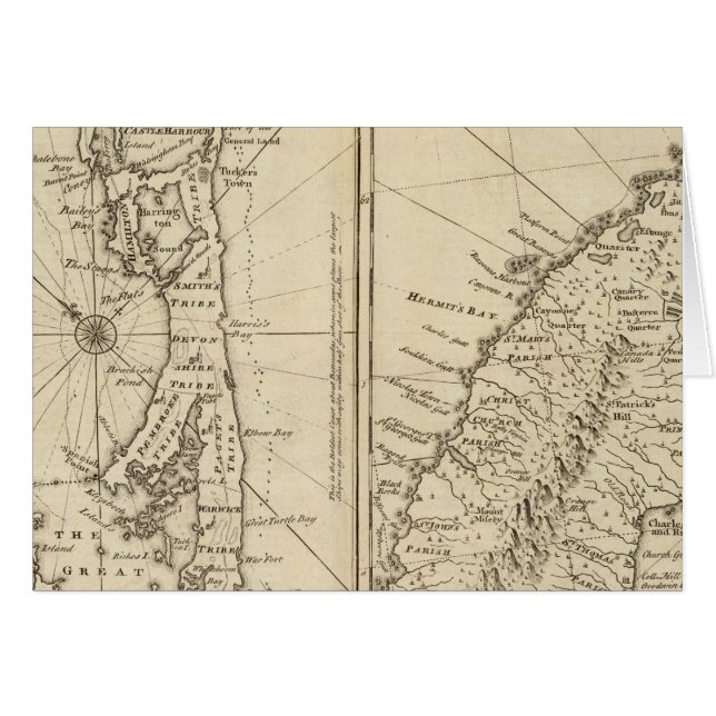 バミューダ (正面横)