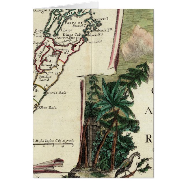 バミューダ (正面)