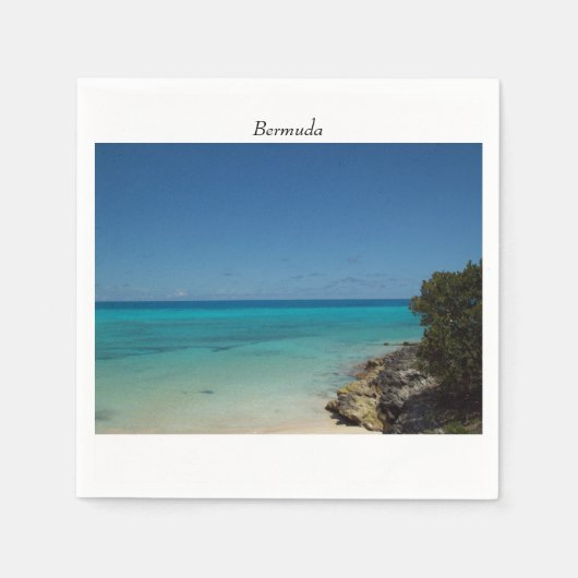 バミューダ・セント・ジョージ教区 スタンダードカクテルナプキン (正面)