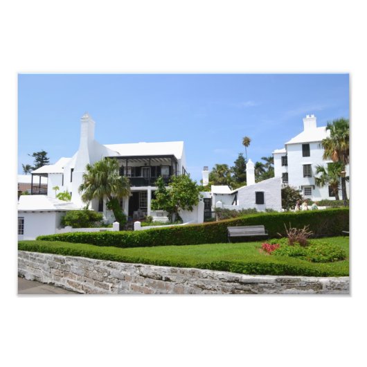 バミューダ フォトプリント            (正面)