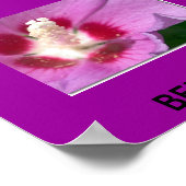 バミューダ ポスター (角)