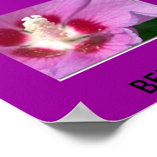 バミューダ ポスター (角)