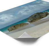 バミューダ ポスター (角)