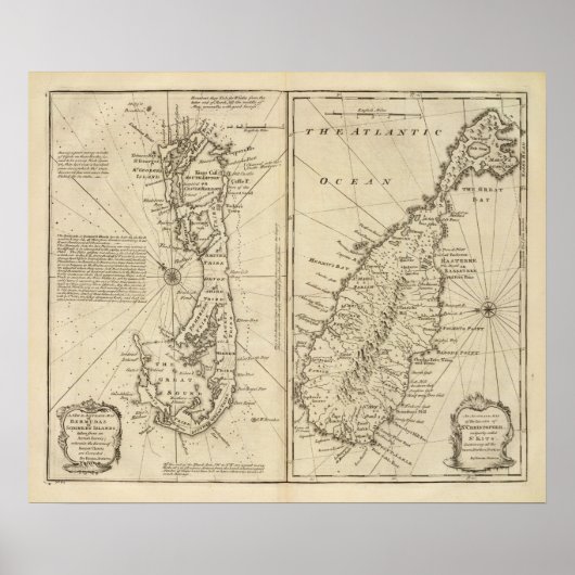 バミューダ ポスター (正面)