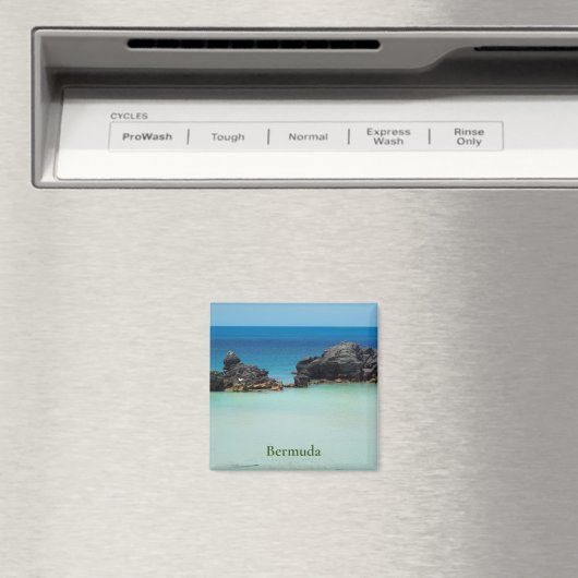 バミューダ マグネット (インサイチュ (食洗機))