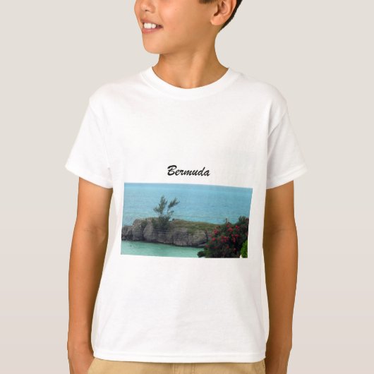 バミューダ Tシャツ (正面)