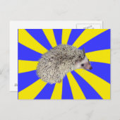 バム！ヘッジホッグ葉書2 ポストカード (正面/裏面)