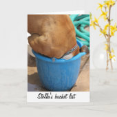 バユニークケツユーモアのあるの中のボクサーの犬写真 カード (黄色い花)