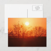 バヨウサンセット ポストカード (正面/裏面)