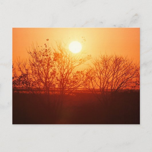 バヨウサンセット ポストカード (正面)