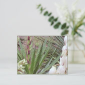 バヨネスペインのットユッカ・ブラッズ ポストカード (スタンド正面)