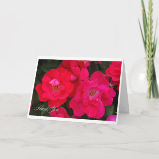 バラありがとう サンキューカード