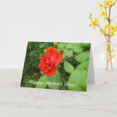 バラおめでとう！ カード (黄色い花)