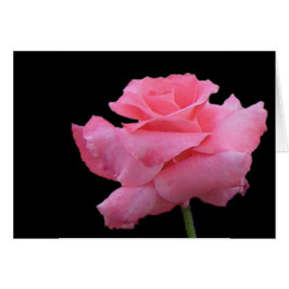 バラおよびチョコレートカード