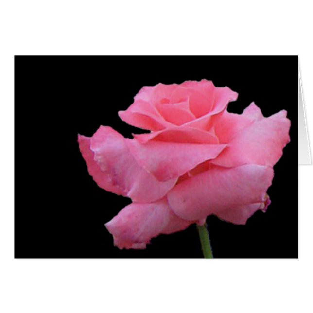 バラおよびチョコレートカード (正面横)