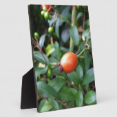 バラお尻ペン フォトプラーク (側面)