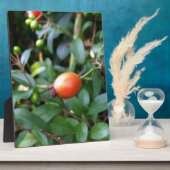 バラお尻ペン フォトプラーク (側面)