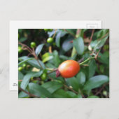 バラお尻ペン ポストカード (正面/裏面)