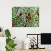 バラお尻秋Phtoポスター ポスター (ホームオフィス)