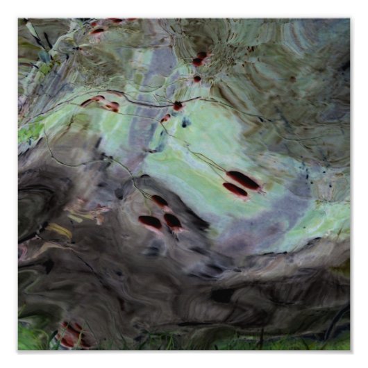 「バラお尻」抽象芸術MylarでReflectionを編集 フォトプリント (正面)