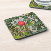 バラかわいらしセットとして コースター (左側)