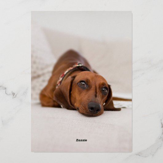 バラかわいらし金ゴールドクリスマスツリーツーフォトホリデー 箔シーズンカード (裏面)