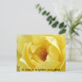 バラで一日を明るくする！ ポストカード (スタンド正面)