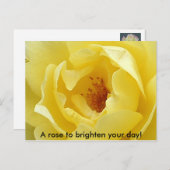 バラで一日を明るくする！ ポストカード (正面/裏面)