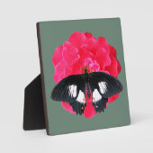 バラとアゲハチョウ フォトプラーク (正面)