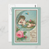 バラとケルビフロリダウォーターズ ポストカード (正面/裏面)