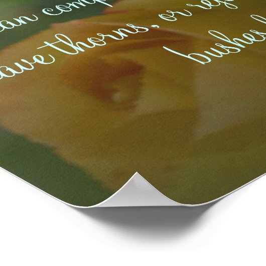 バラとソーズポスタ感動的ー ポスター (角)