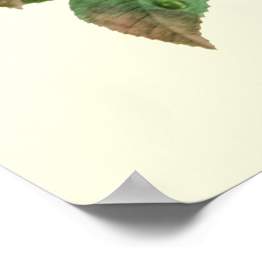 バラとバタフライブーケ、ピエール・レドゥートのポスター ポスター (角)