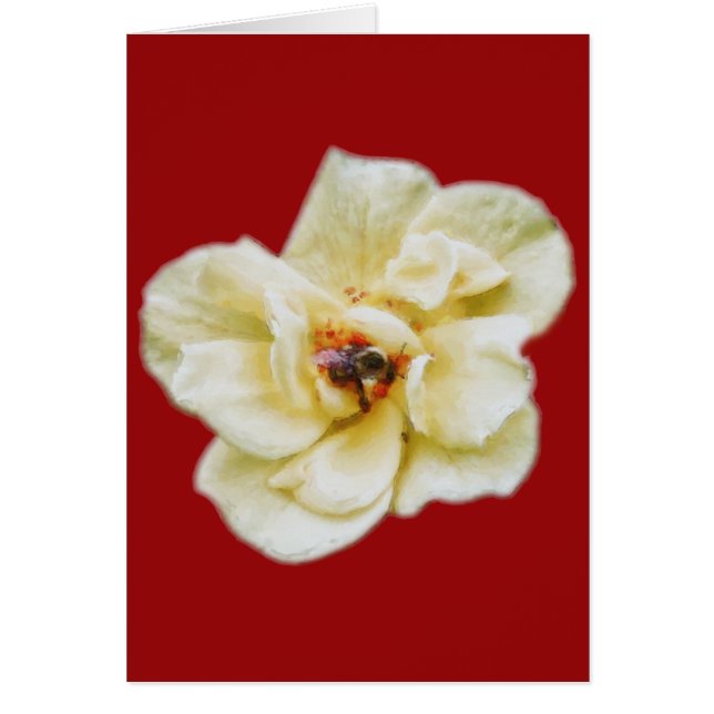 バラとビー (正面)