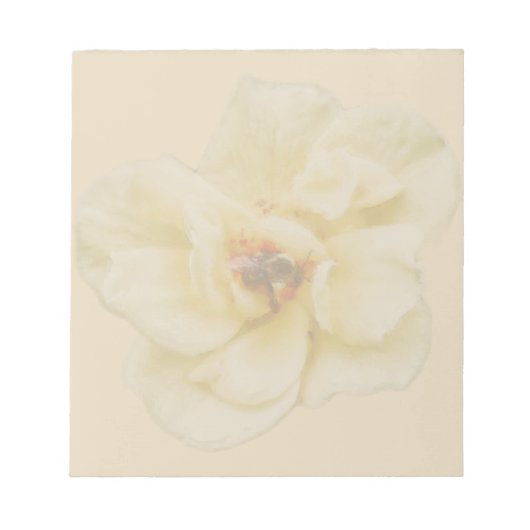 バラとビー ノートパッド (正面)