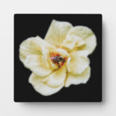 バラとビー フォトプラーク (正面)