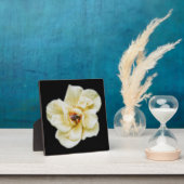 バラとビー フォトプラーク (インサイチュ)