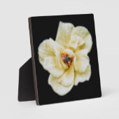 バラとビー フォトプラーク (正面)