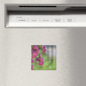 バラとラブ引用文 マグネット (インサイチュ (食洗機))