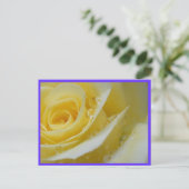 バラと水滴 ポストカード (スタンド正面)