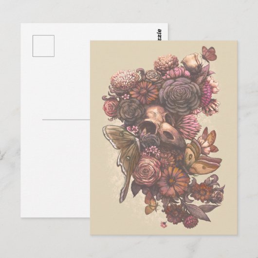 バラと蛾 ポストカード (正面/裏面)