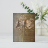 バラと錆No 3 ポストカード (スタンド正面)