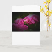 バラと雨滴、カード カード (黄色い花)