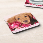 バラによって囲まれるダックスフントの子犬 コースター (左側)