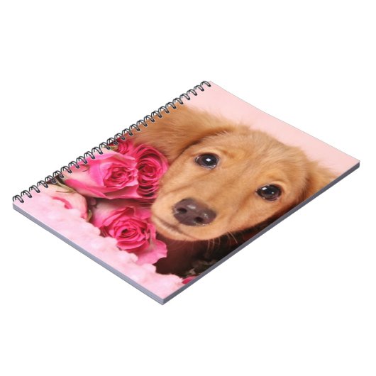 バラによって囲まれるダックスフントの子犬 ノートブック (左側)