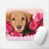 バラによって囲まれるダックスフントの子犬 マウスパッド (マウス)