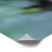 バラに休む ポスター (角)