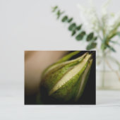 バラのつぼみのクローズアップ(マクロ) ポストカード (スタンド正面)