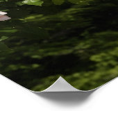 バラのアーチ ポスター (角)