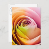 バラのカラフル花びら ポストカード (正面/裏面)